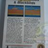OFF THE WALL-ATARI VCS 2600-NTSC-BRAND NEW.