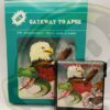 GATEWAY TO APSH-COLECOVISION-BRAND NEW.